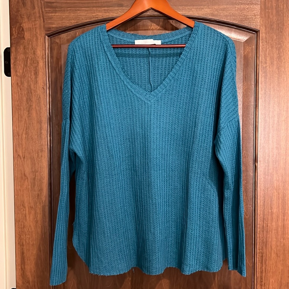 NWOT blue v-neck top medium
